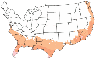 Hardiness Zone Map